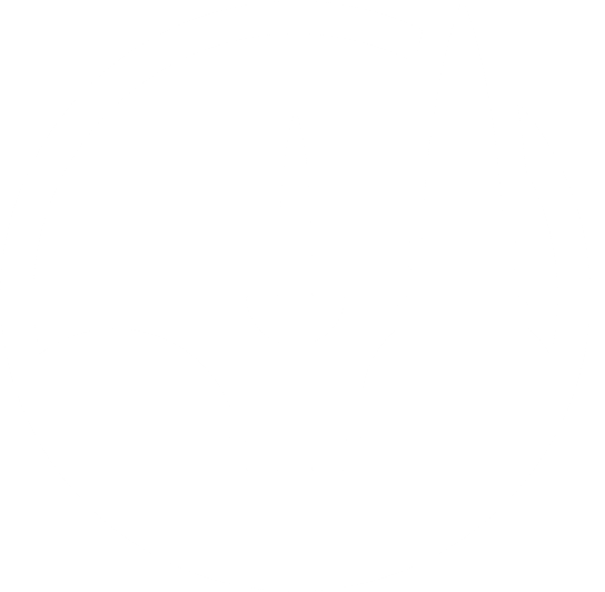 intrepid-logo